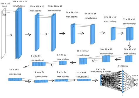 Convolutional Neural Networks Course by .